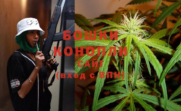 ПСИЛОЦИБИНОВЫЕ ГРИБЫ Балабаново