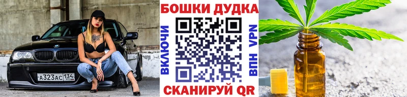 Каннабис сатива  Спас-Деменск 